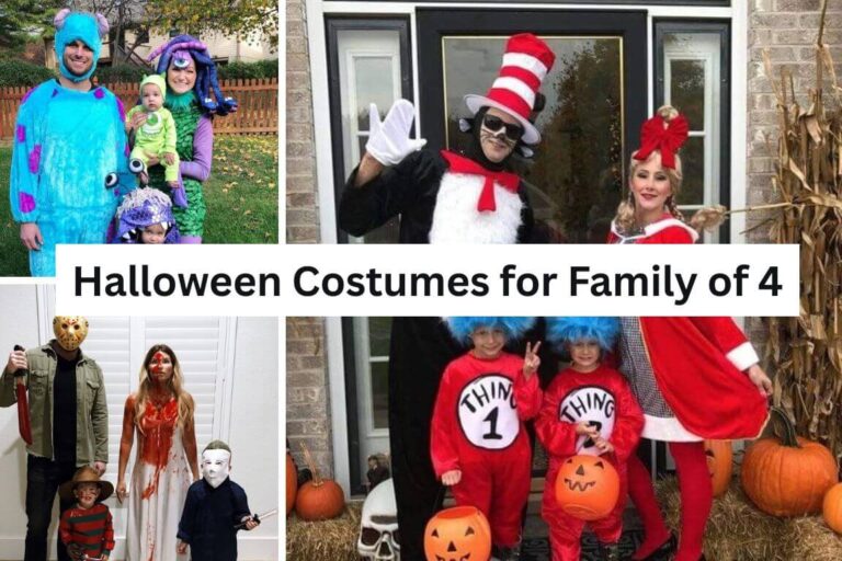 Halloween Costumes for Family of 4
